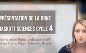 brneautoformationsciencescycle4