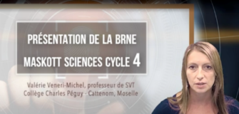 brneautoformationsciencescycle4